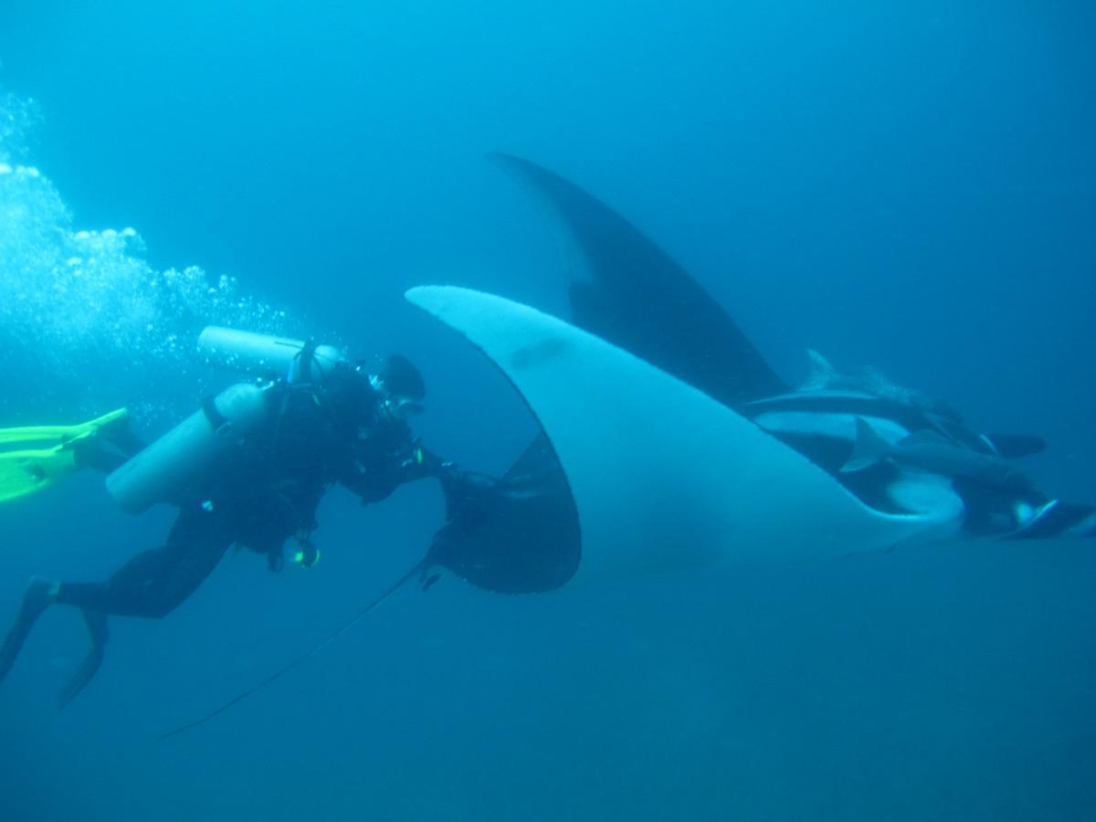 Mantaraya Lodge Пуэрто-Лопес Экстерьер фото